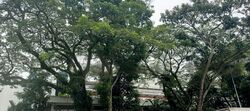 Jurong West Street 63 (D22), Detached #572599271